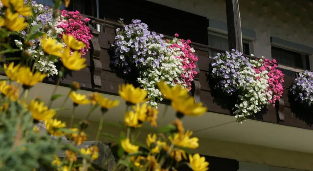 Hubertushof, Prenota Hotel Hotel a Tirolo con parcheggio, Parcheggio