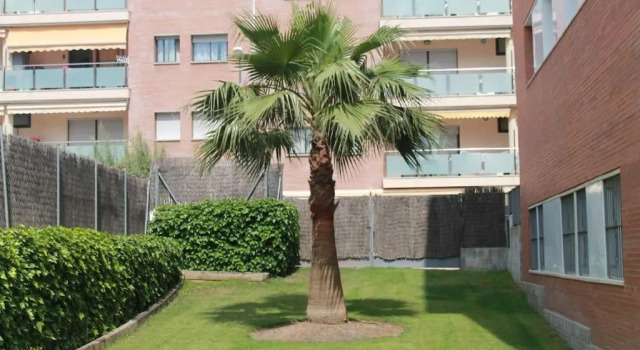 Bonito apartamento a 250m del mar
