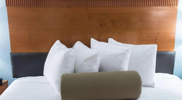 Номер Standard The Hotel at Dayton South