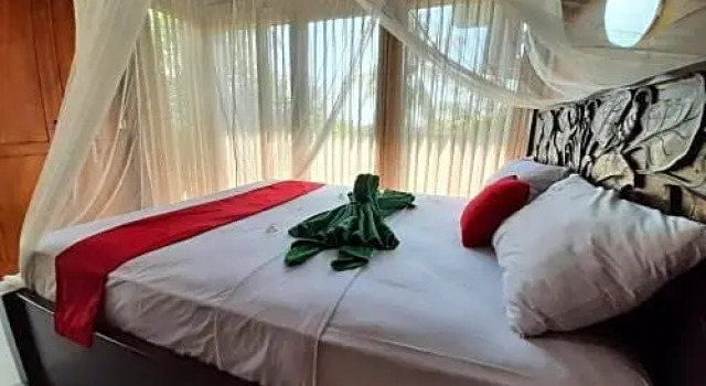 The point surfcamp Bali, Prenota Hotel Medewi Bali