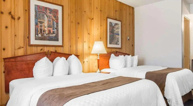 Четырёхместный номер Standard Hotel Danube Bleu