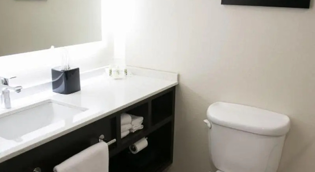 Четырёхместный номер Standard Four Points by Sheraton Birmingham Homewood