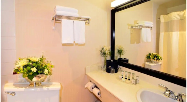 Двухместный номер Standard The Hospitality Inn