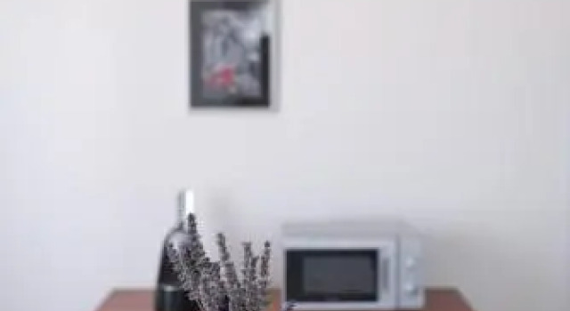 Apartment Karin