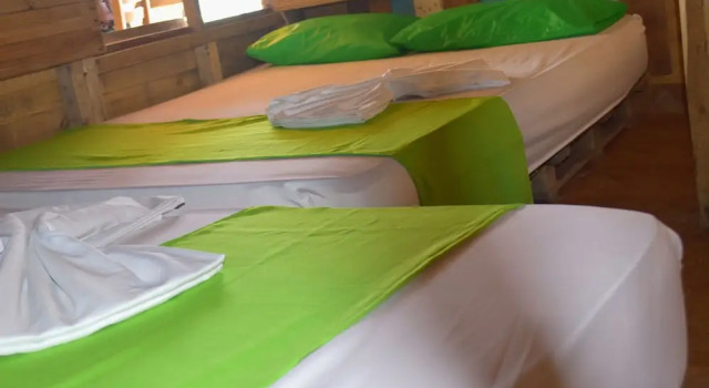 Четырёхместный семейный номер Standard Koko Raw Hostal y Restaurante