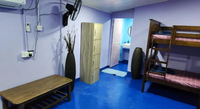 Кровать в общем номере (женский номер) Gecko Guesthouse