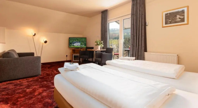 Двухместный номер Standard Waldhotel Schinkenwirt