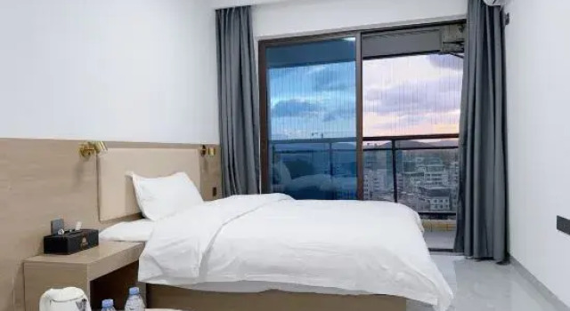 Двухместный люкс Business Shuoke International Apartment