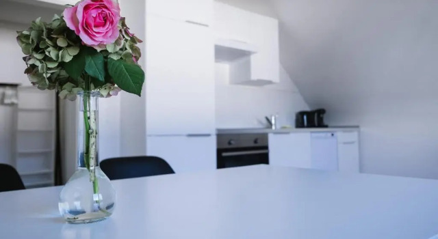 Апартаменты c 1 комнатой Ferienwohnung Kirschbaum