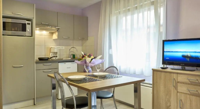 Студия Classic Hôtel Résidence Les Grands Chênes Amnéville les Thermes