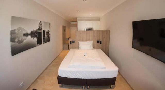 Одноместный номер Standard TT Aparthotel Neuhofen