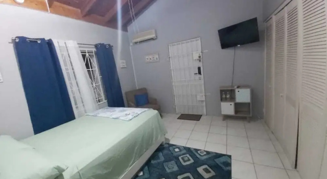 Номер Classic 876 JA Oasis & Homestay - by Kingston Airport