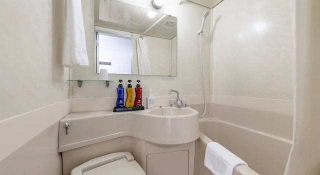 Одноместный номер Standard Fujieda Park Inn Hotel