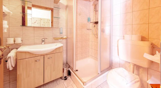 Номер Standard Hotel Riederhof- Urlaub mit WAU