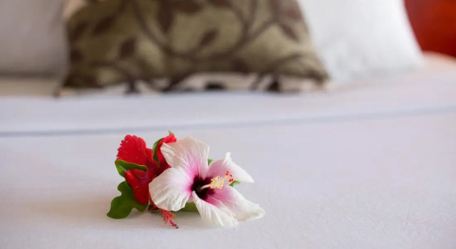 Апартаменты Anchorage Beach Resort