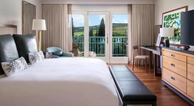 Двухместный номер Deluxe The Ritz-Carlton Maui, Kapalua