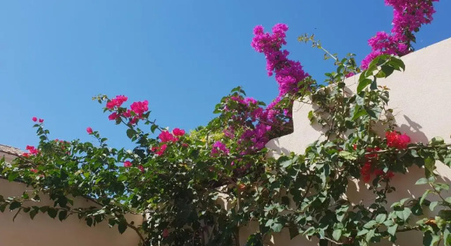 Апартаменты appartement vue mer montagnes et citadelle casa di a murza Calvi
