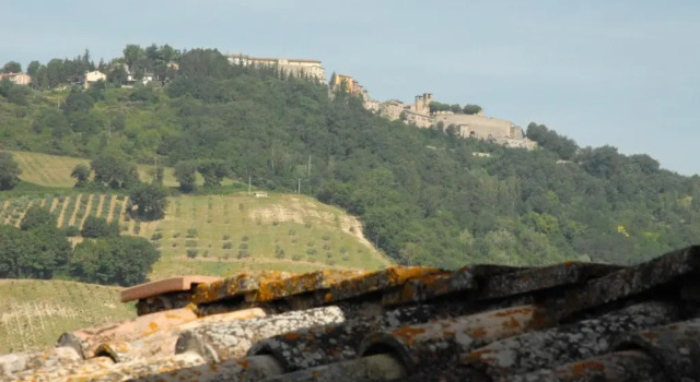 Suite La Carpinella