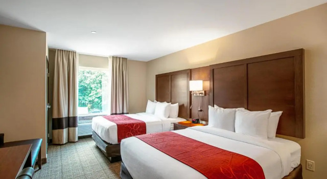 Четырёхместный номер Standard Comfort Suites Fishkill near Interstate 84