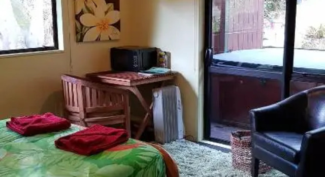 Номер Deluxe Pohutukawa Coast Bed & Breakfast