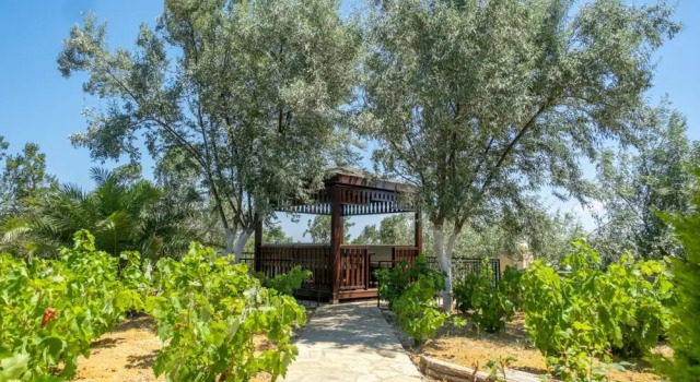 Serene House in Bozcaada, Rezervovat Vila Chaty v Bozcaada, Chalupa