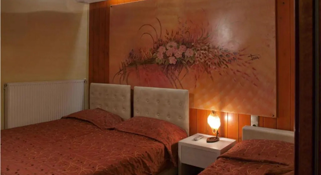 Hani Mpagasaki, Réserver Hôtel Karpenisi 