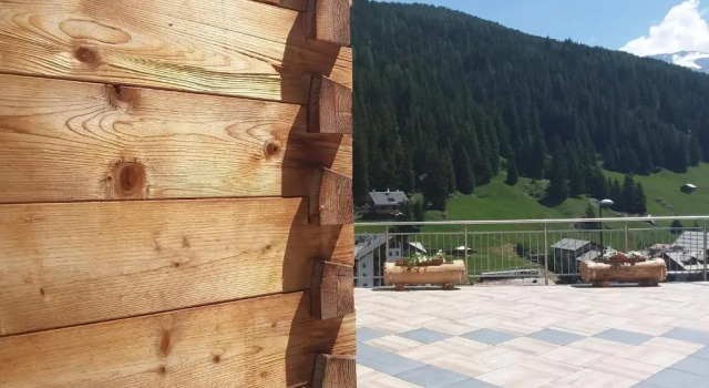 Апартаменты Superior Hotel Meublè Adler - Rooms & Mountain Apartments