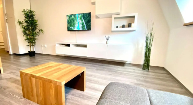 Apartment 3 Sovice