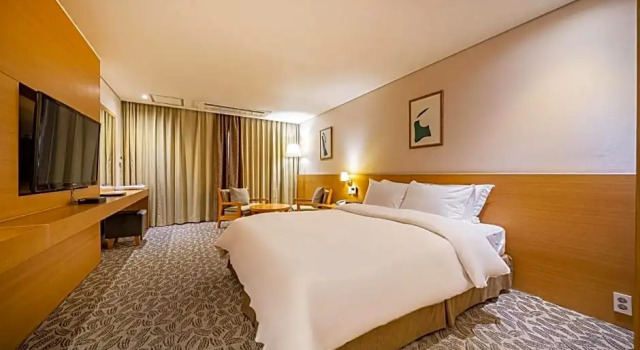Двухместный номер Standard Hotel Biz Inn