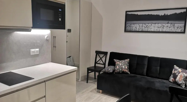 Студия EASY RENT Apartments -BUSINESS CENTER 41