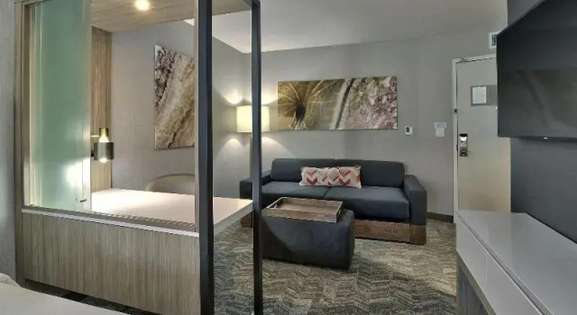 Шестиместный люкс SpringHill Suites Durango