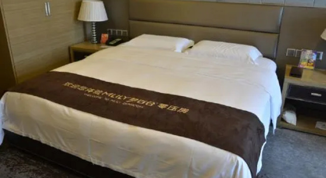 Номер Deluxe Chengdu Youhao Jinjiang Hotel