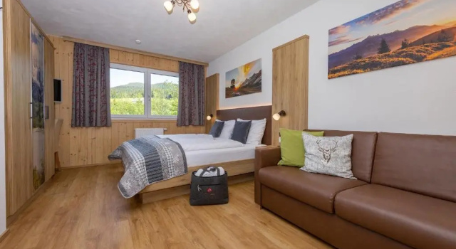 Номер Standard Wellness- und Familienhotel Garni Dachsteinresort