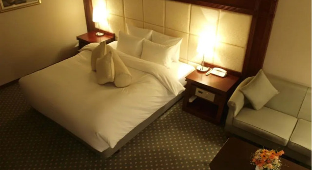 Номер Deluxe Premier Hotel -Tsubaki- Sapporo