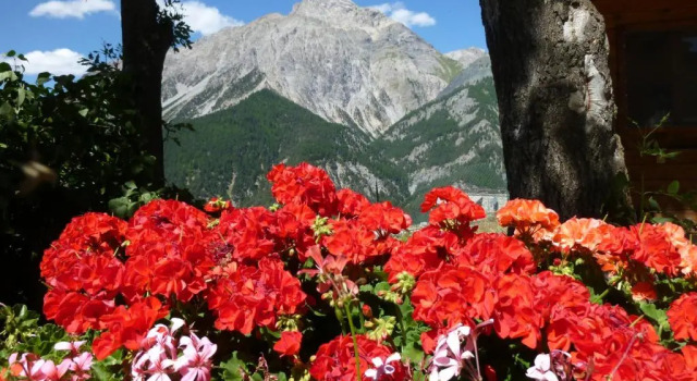 Agriturismo Barba Gust, Buchen Sie Hotel Cesana Torinese Susatal