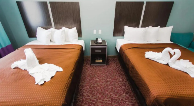 Standard Zimmer Express Inn - Spring