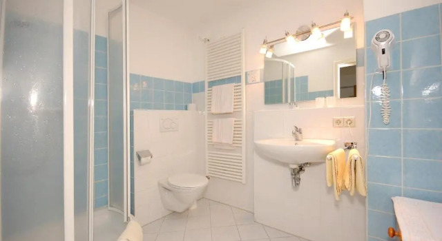 Двухместный номер Standard Hotel Hirschen