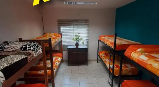 Кровать в общем номере Plaza Hostel