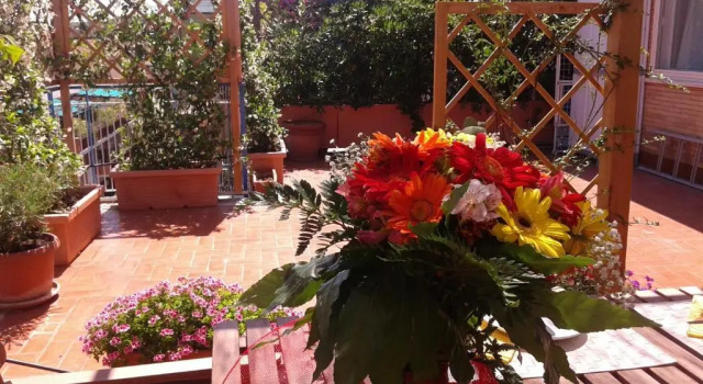 Студия Holiday rental St Peters area