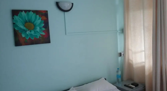 Двухместный номер Standard с балконом La Plaine Verte Guesthouse