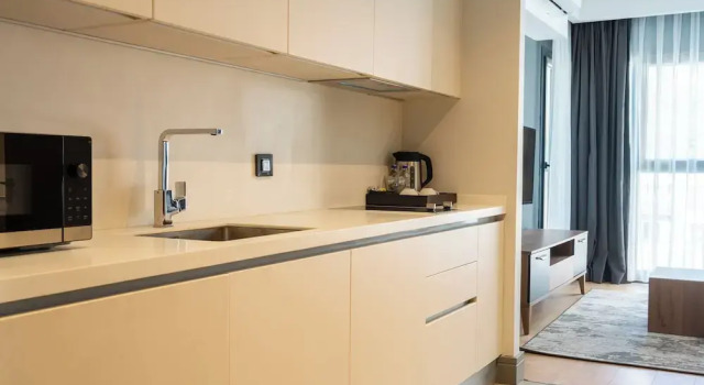 Люкс TSL Serviced Apartments Kağıthane