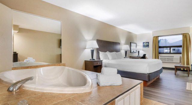 Двухместный люкс Best Western Davison Inn