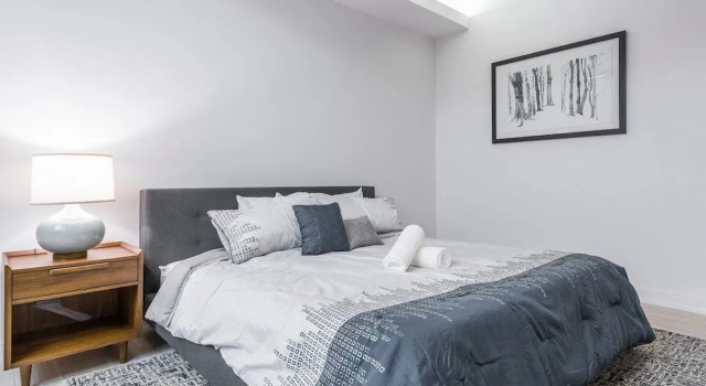 3 BDR Downtown Luxury Loft-spacious, Safe & Secure, Забронировать Апартаменты/квартира Апартаменты Чикаго, рядом с Мемориал ветеранов Вьетнама в Чикаго, Апартаменты/квартира