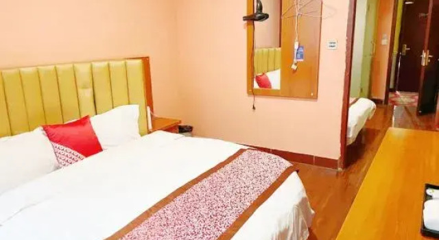 Люкс Holiday Hotel