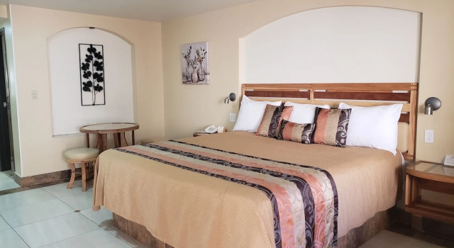 Одноместный номер Deluxe La Villa de Zaragoza