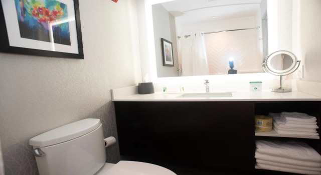 Номер Standard Holiday Inn Hotel & Suites - Joliet Southwest by IHG