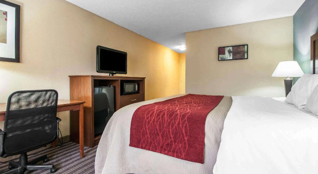 Standard- dobbelt værelse Comfort Inn Jackson