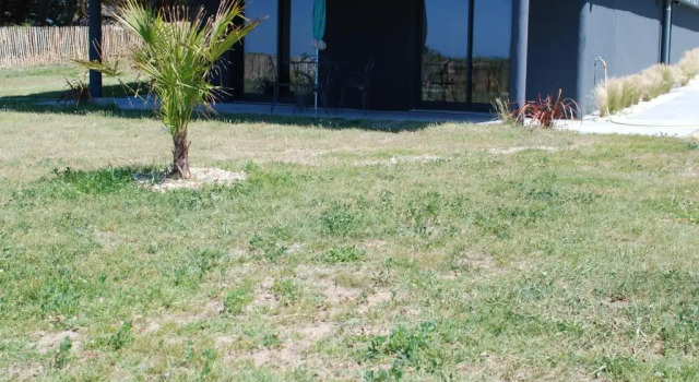 Студия Villa Belmont