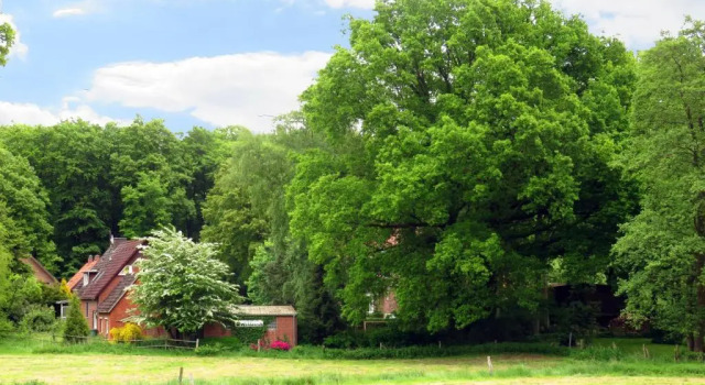Номер Standard Land-gut-Hotel Waldesruh