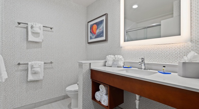 Четырёхместный номер Standard Holiday Inn Express & Suites Orlando- Lake Buena Vista by IHG